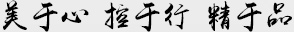 美于心，控于行，精于品